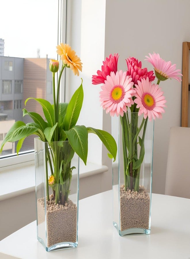 Oasis Pack of 2 Acrylic Tall Cube Vase for Home Decor,Office, Living Room | Modern Clear Flower Planter Pot for Plants, Buds & Flowers | Ideal for Gifting for Any Occasion (12cm x 12cm x 25 cm) - Image 1